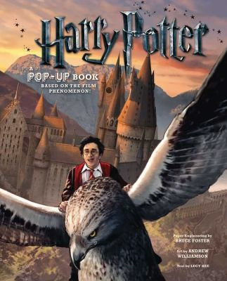 Harry Potter Pop up
