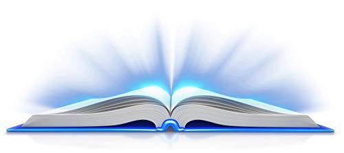 Turn on the Heat ( Hard Case Crime)